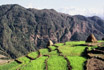 Getreidefelder vor dem Annapurna_Himal